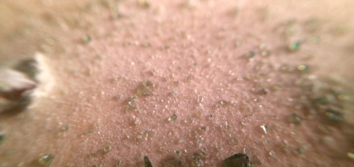 Screeshot: Felix Stachelhaus: Nach einem Jahr