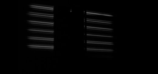 Screenshot: Otto Wanke: Moving speeds