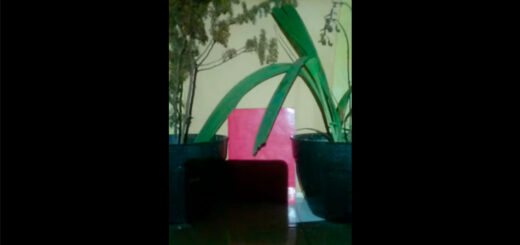 Septian Dwi Cahyo: Pelita (music for Illuminated plants, book and paper)