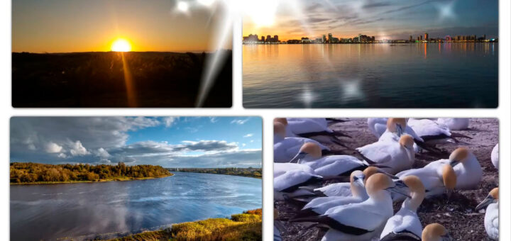 Adeliia Badygova – My dream