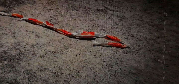 Kuesti Fraun: Moving border