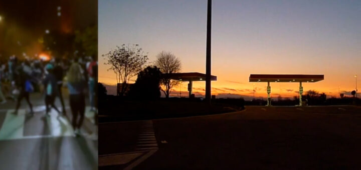 Maxim Seloujanov: Bee-Spring