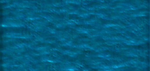 Michaela Catranis: DILUVIAN