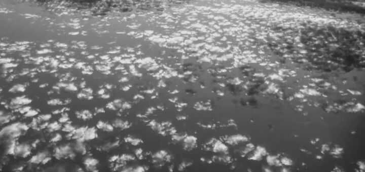 Norbert Walter Peters: #137