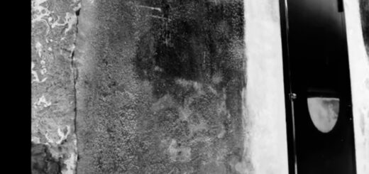 Michael Sternbacher: Grey Move part 1&2