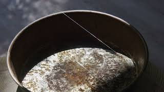 Huihui Cheng: In-visible strings