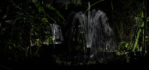 Karsten Wiesel: Notturno mit Gewächshaus und abwesendem Ensemble