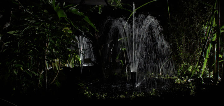 Karsten Wiesel: Notturno mit Gewächshaus und abwesendem Ensemble