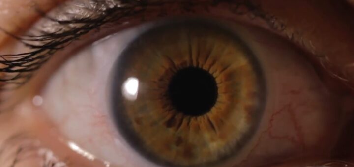 Luca Staffiere: Olivia