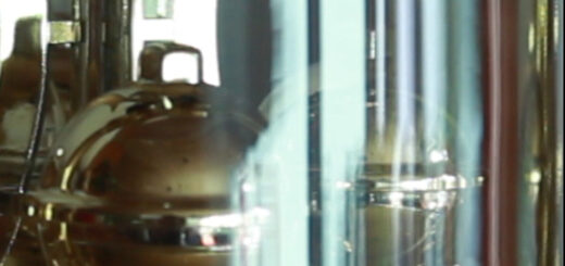 Adrian Laugsch: Stop Resisting