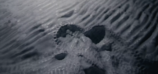 Sylvia Hinz: schnitte 1 - in dialogue with Ana Mendieta