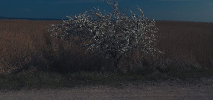 Sylvia Hinz: Skizzen, Dialog in Ahrenshoop