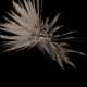 Ludger Kisters: Cranes