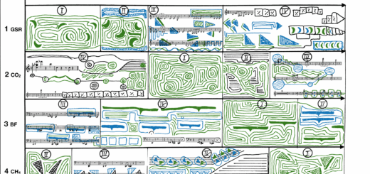 Kurt Holzkämper: Swamp Rhapsody