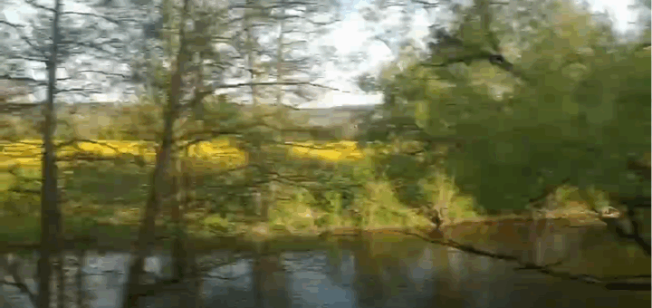 Baltus Baumbauer: Entlang der Saale - 4 1/2 kurze Klavierwerke aus Wittenberg